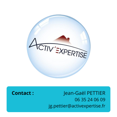 DIAGNOSTIQUEUR IMMOBILIER