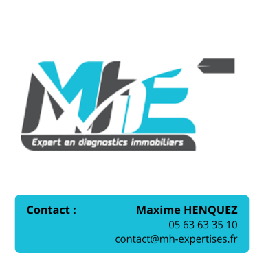 DIAGNOSTIQUEUR IMMOBILIER